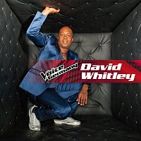 David Whitley – When Love Takes Over [From The Voice Of Germany]