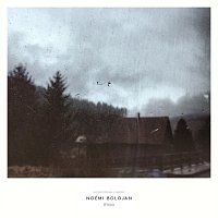Noemi Bolojan – Within