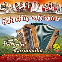 Diverse Interpreten – Schneidig aufg'spielt mit der Steirischen Harmonika
