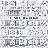 Temecula Road – Never Knew I Needed You [Acoustic]