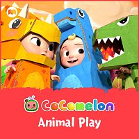 Animal Play