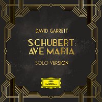 David Garrett, Franck van der Heijden, Orchestra the Prezent – Schubert: Ave Maria, D. 839 (Arr. Garrett / van der Heijden for Violin and Orchestra)