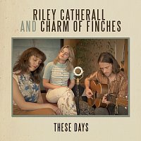 Riley Catherall, Charm of Finches – These Days