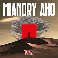 Mage 4 – Miandry Aho