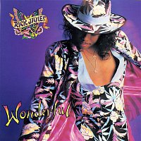 Rick James – Wonderful