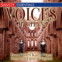 Různí interpreti – Voices Of Chant