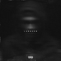 Přední strana obalu CD Langsom