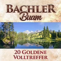 Bachler Buam – 20 goldene Volltreffer