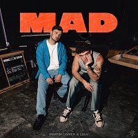 Martin Garrix, Lauv – MAD