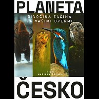 Planeta Česko