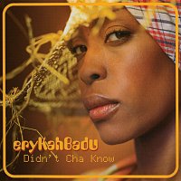Erykah Badu – Didn't Cha Know