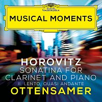 Horovitz: Sonatina for Clarinet and Piano: II. Lento, quasi andante [Musical Moments]