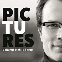 Bohumír Stehlík – Pictures MP3