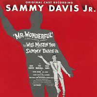 Mr. Wonderful [1956 Broadway Cast Recording]