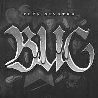 Flex Sinatra – Bug
