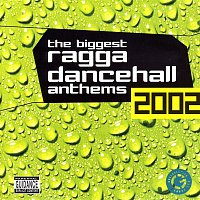 Various  Artists – The Biggest Ragga Dancehall Anthems 2002