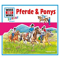 Was Ist Was Junior – 02: Pferde & Ponys