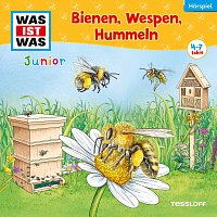 Was Ist Was Junior – 30: Bienen, Wespen, Hummeln