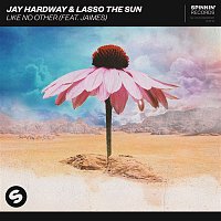 Jay Hardway & Lasso the Sun – Like No Other (feat. Jaimes)