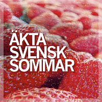 Blandade Artister – Akta svensk sommar