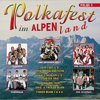 Přední strana obalu CD Polkafest im Alpenland, Folge 1