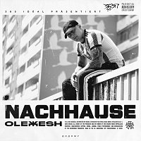 Olexesh – Nachhause