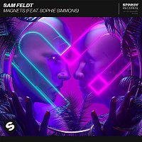 Sam Feldt – Magnets (feat. Sophie Simmons)