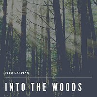 Tito Caspian – Into the Woods