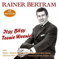 Přední strana obalu CD Itsy Bitsy Teenie Weenie - 48 große Erfolge