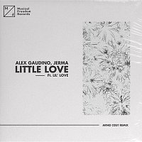 Alex Gaudino, Jerma – Little Love (feat. Lil' Love) [Arno Cost Remix]