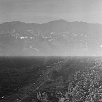Telescreens – Vertigo