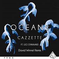 Cazzette – Oceans (feat. Leo Stannard) [Dave Winnel Remix]