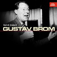 Orchestr Gustava Broma – Zpívá (nejen) Gustav Brom