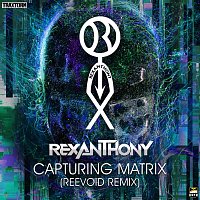 Přední strana obalu CD Capturing Matrix (Reevoid Remix)