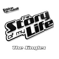 The Voice Of Holland – The Story Of My Life [The Singles]