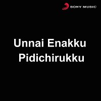 Sirpy – Unnai Enakku Pidichirukku (Original Motion Picture Soundtrack)