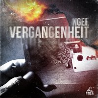 NGEE – VERGANGENHEIT