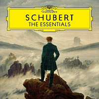 Přední strana obalu CD Schubert: The Essentials