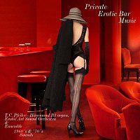 T.C. Pfeiler – Private Erotic Bar Music