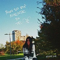 Michelle – Non so piu niente di te
