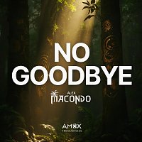 Přední strana obalu CD No Goodbye (Extended)