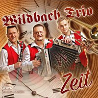 Přední strana obalu CD Wildbach Trio Zeit