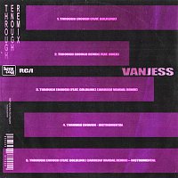 VanJess – Through Enough (Maxi Single)