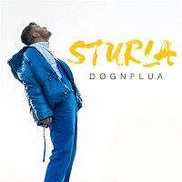 Sturla – Dognflua