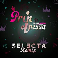 Seiler und Speer – Principessa (DJ Selecta Remix)