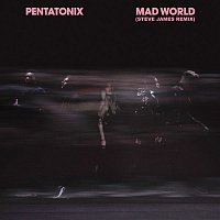 Pentatonix – Mad World (Steve James Remix)