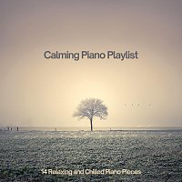 Chris Snelling, Robyn Goodall, Jonathan Sarlat, Robin Mahler, Bella Element – Calming Piano Playlist: 14 Relaxing and Chilled Piano Pieces