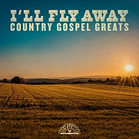 Různí interpreti – I'll Fly Away: Country Gospel Greats