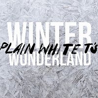 Plain White T's – Winter Wonderland