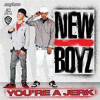 New Boyz – You're A Jerk